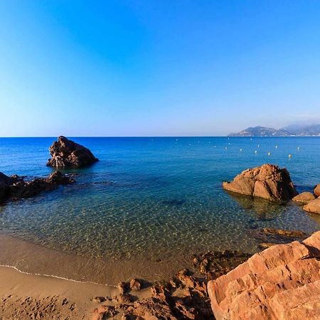 A 10 Min De La Croisette - Pieds Dans La Mer 칸느 외부 사진